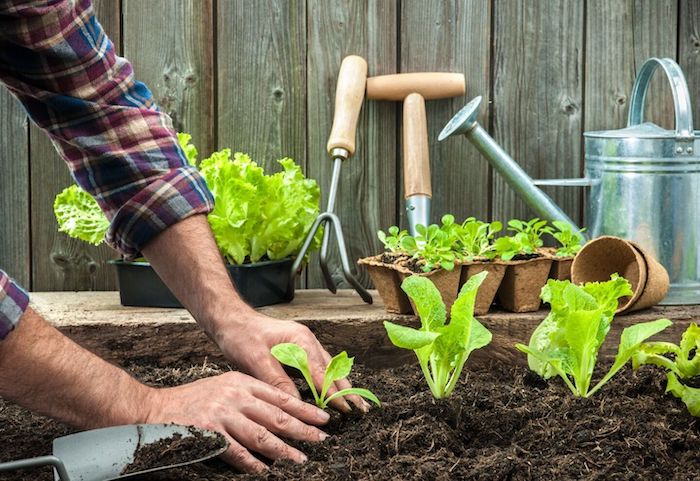 curso de huerta organica